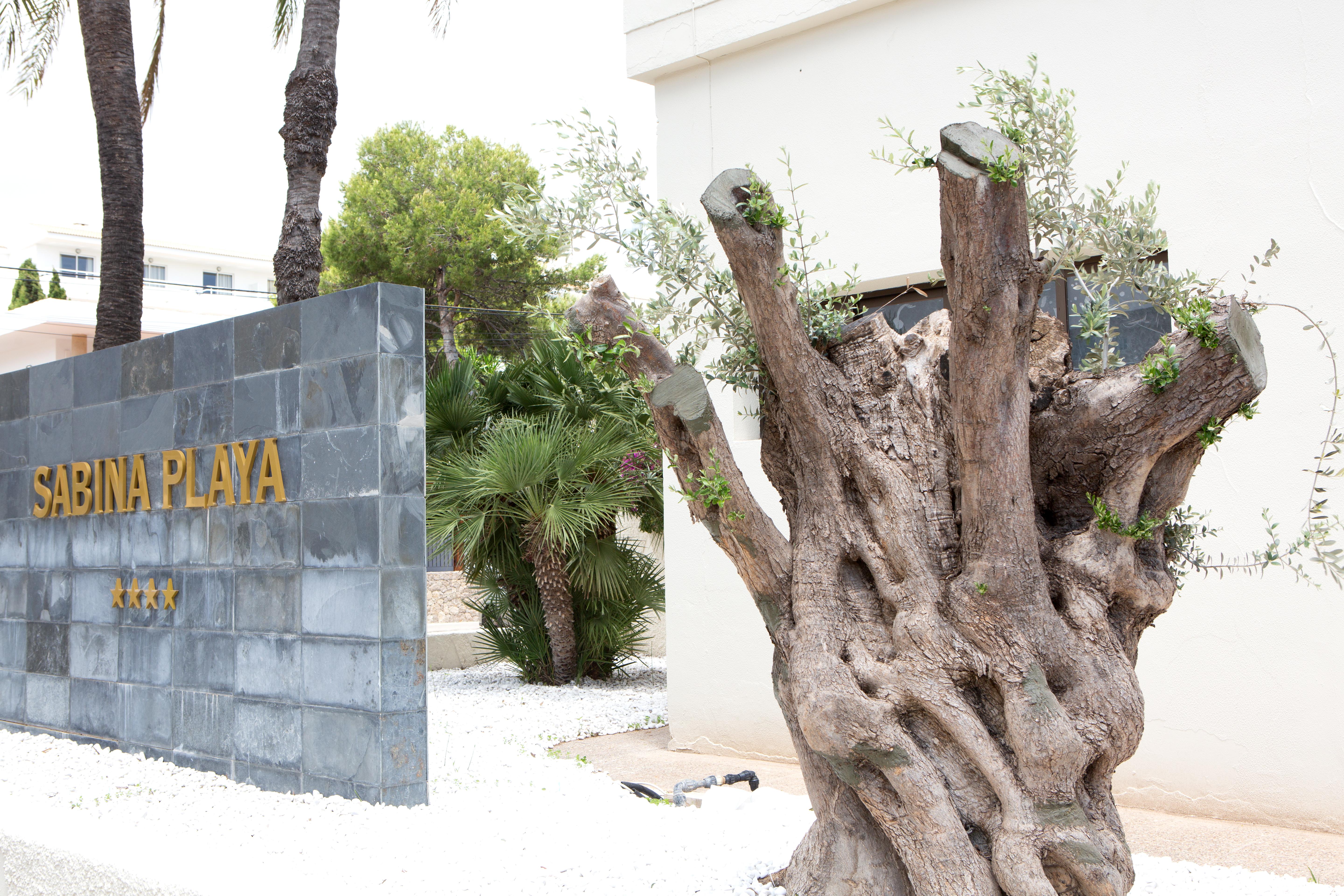 Hotel Sabina Playa (Adults Only) Cala Millor  Extérieur photo